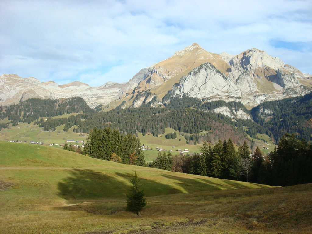 Blick auf Wildhauser Schafberg