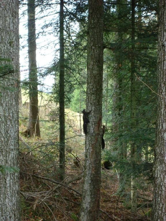 Jöööö, wie niedlich!