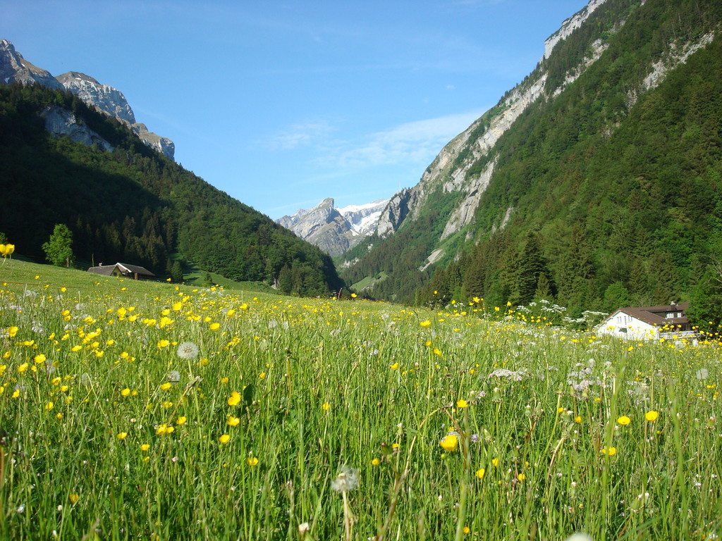Gewitter ist angesagt, im Moment glaubt niemand daran