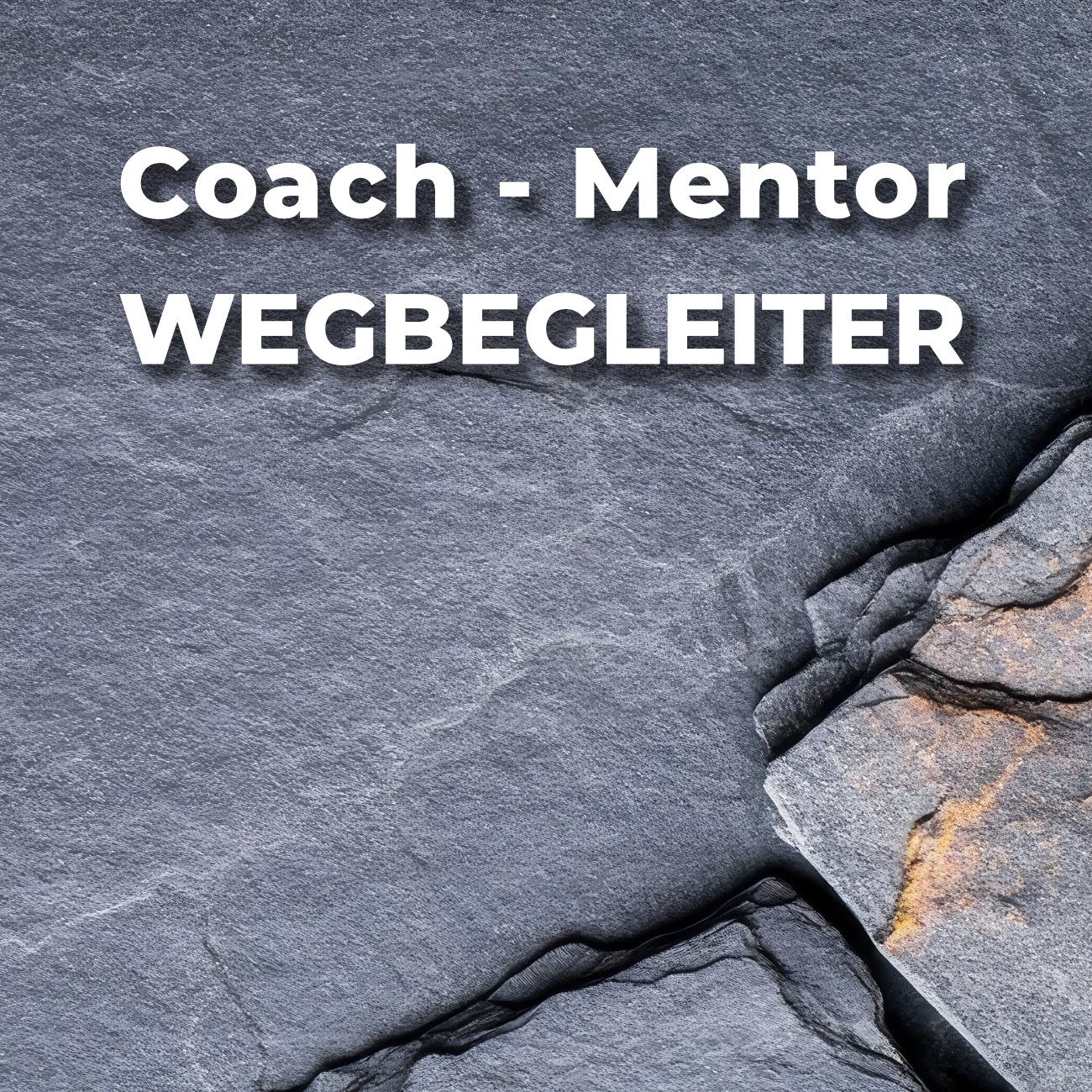 Mentoren, Wegbegleiter, Coach – wessen Weg gehen wir wirklich?