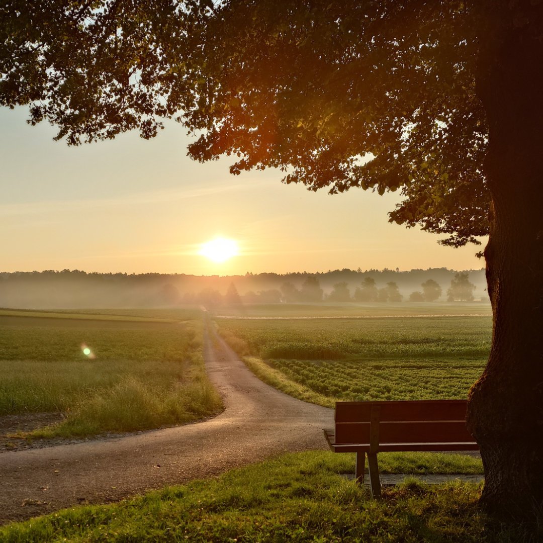 Absolute Fülle – Unerschöpflich