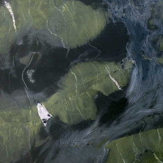 Quartzite Avocado natural stone slab