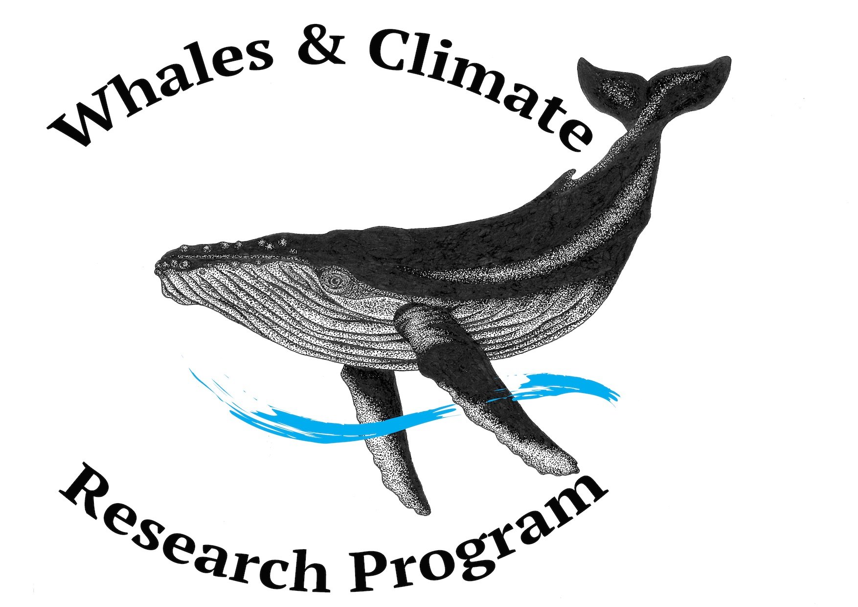 Our partner organisation