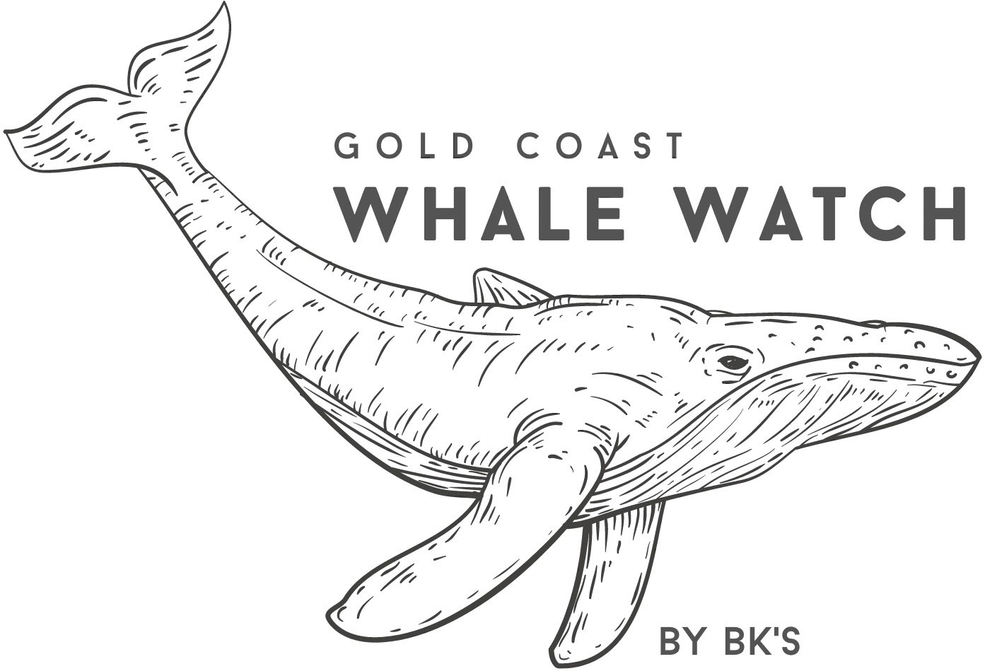 Our partner organisation