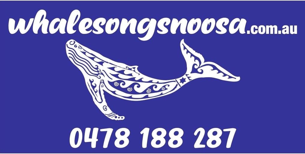 Our whale survey partner organisation