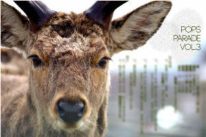 フライヤーアニマル