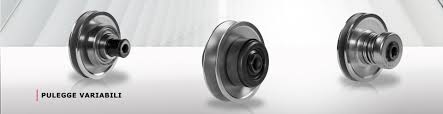 spare parts Piazzalunga pulley variator