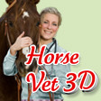 Game Icon Horse Vet 3D