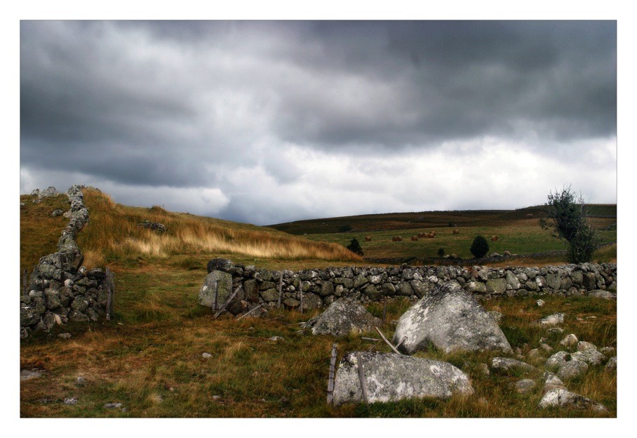 Les caillouxx©Pires-Dias José-Manuel