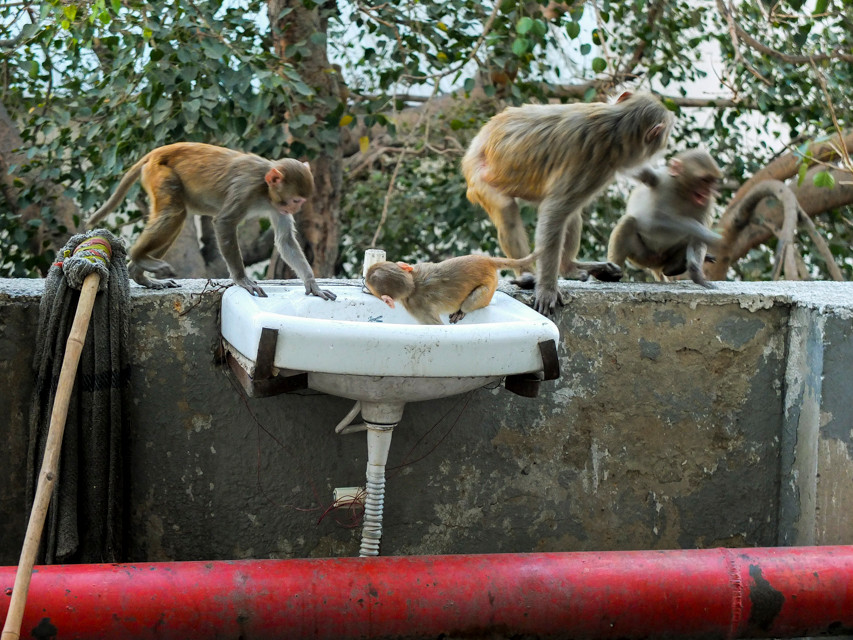 Indian Coffee House, New Delhi - © François Struzik - simply human 2015