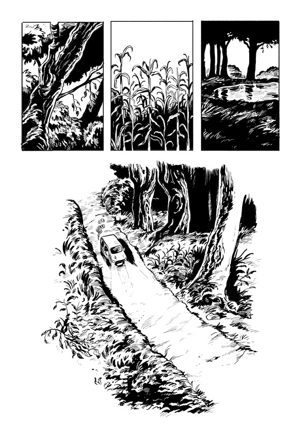 Aus: Aimée de Jongh "De terugkeer van de wespendief"