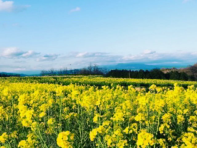 早く心休まる日が戻りますように