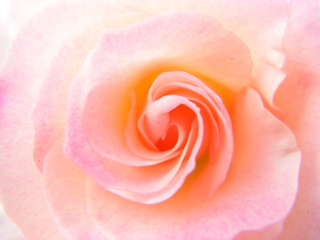 時を経ての感謝の言葉は 光栄です