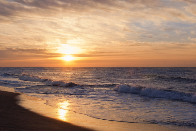 年頭所感～改正行政書士法の施行～