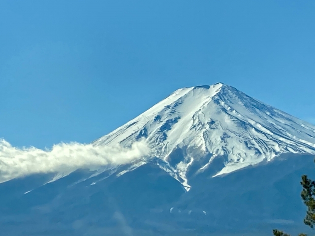 年頭所感（ネオフェニックスの試合から）