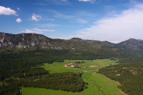 Le Parc des Bisons - Domaine des Monts d'Azur