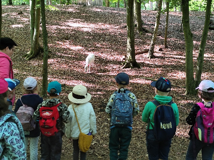 Besuch im Zoo Eberswalde