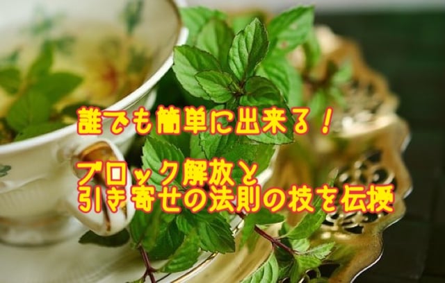 ゴールデンウイーク企画