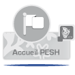 AccueilPESHGris_Icon_Menu_110x110