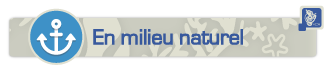 IconMilieuNaturel_Titre_330x80