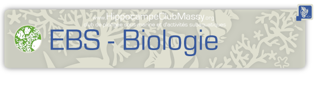 EBS_HeadPage_625x180