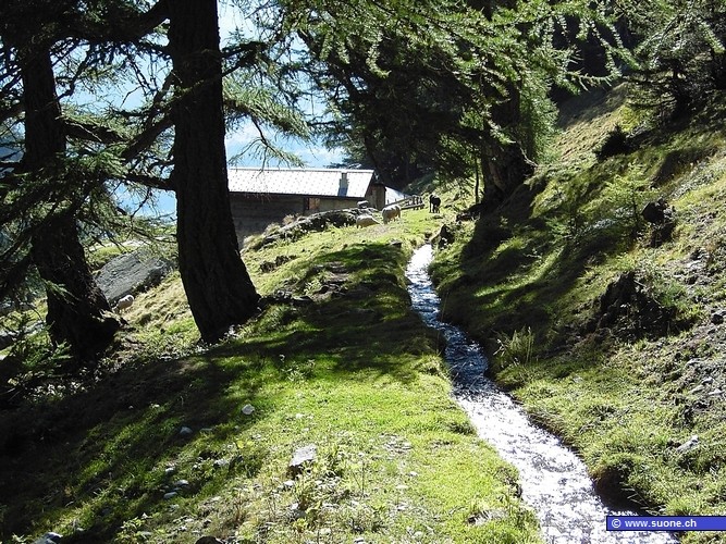 Die Ladu-Süe in der Nähe von Taz