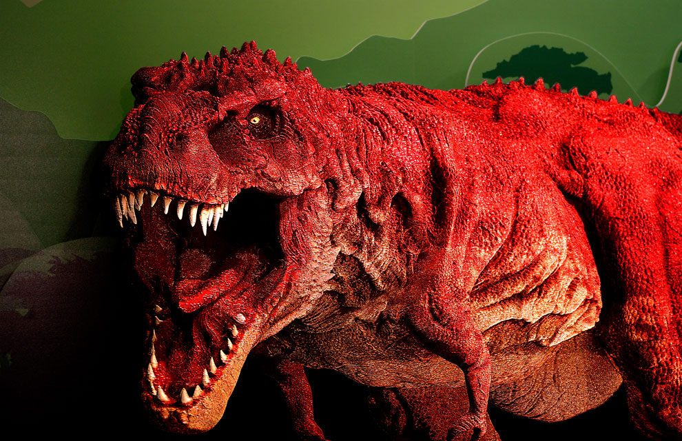 第19回中央区産業文化展