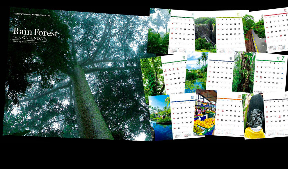 2015年度オリジナル卓上カレンダー「Rain Forest」というタイトルにて、鬱蒼とした木々や、みずみずしい植物、水辺やマーケットなど熱帯雨林地方の異国情緒溢れる風景を切り取りました。