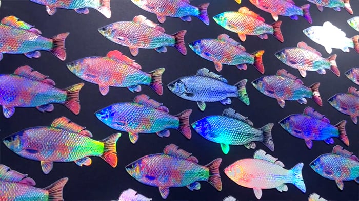 モトヤコラボレーションフェア 2025 TOKYO