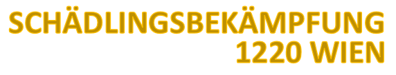 Schädlingsbekämpfung 1220 Wien / Wespennest entfernen