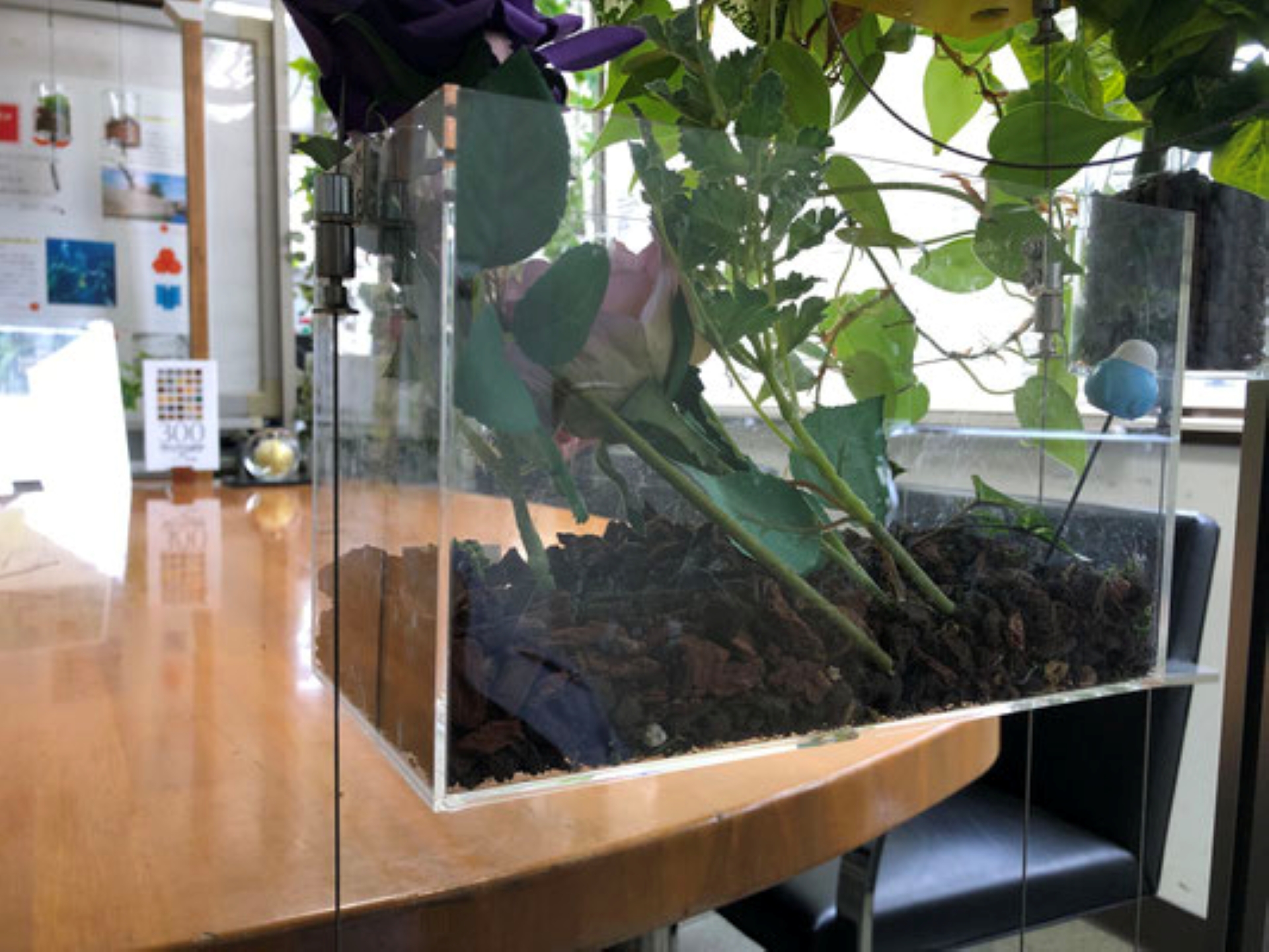 12. 上方へはそのままハンギングケースを上に押し上げてください。手を離した位置でロックします 