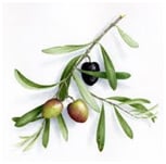 La beauté dans notre cuisine