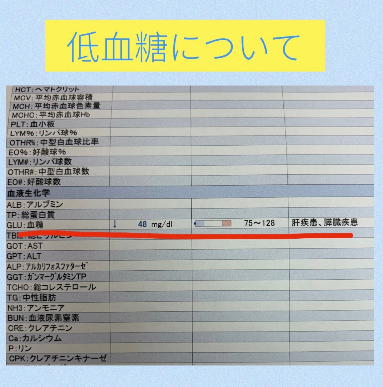 ふらつきや震えに注意 ～犬・猫の低血糖とは～ - ガレン動物病院