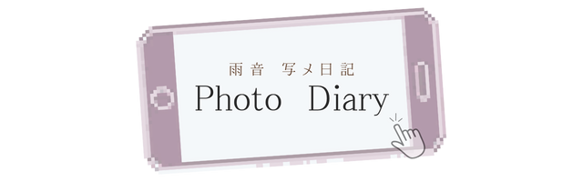 セラピストの写メ日記一覧はこちら 札幌 女性用風俗 すすきの 雨はしずかに