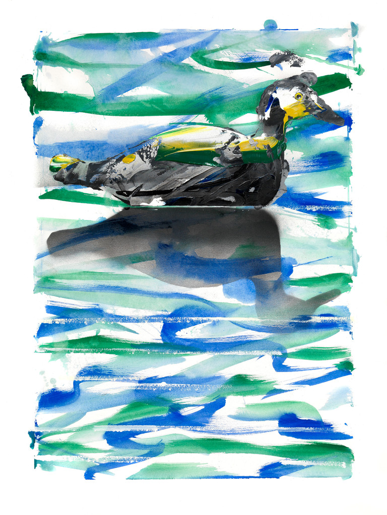 04- Un canard sur un lac était… Moralité : le canard laquais