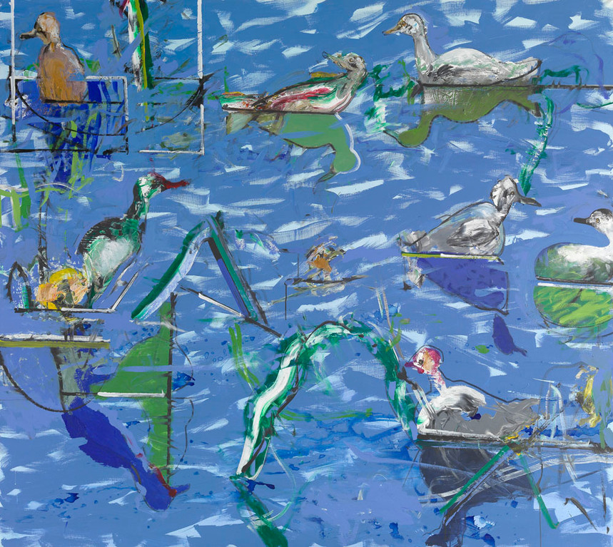 Risée pour anatidés