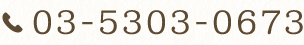 TEL:03-5303-0673