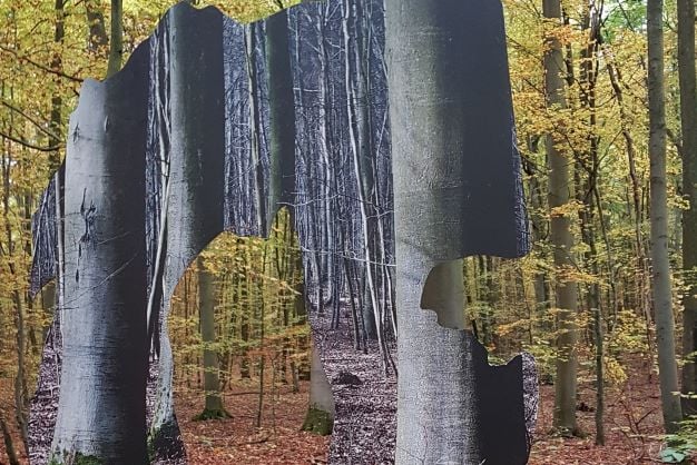 Coaching öffnet Räume