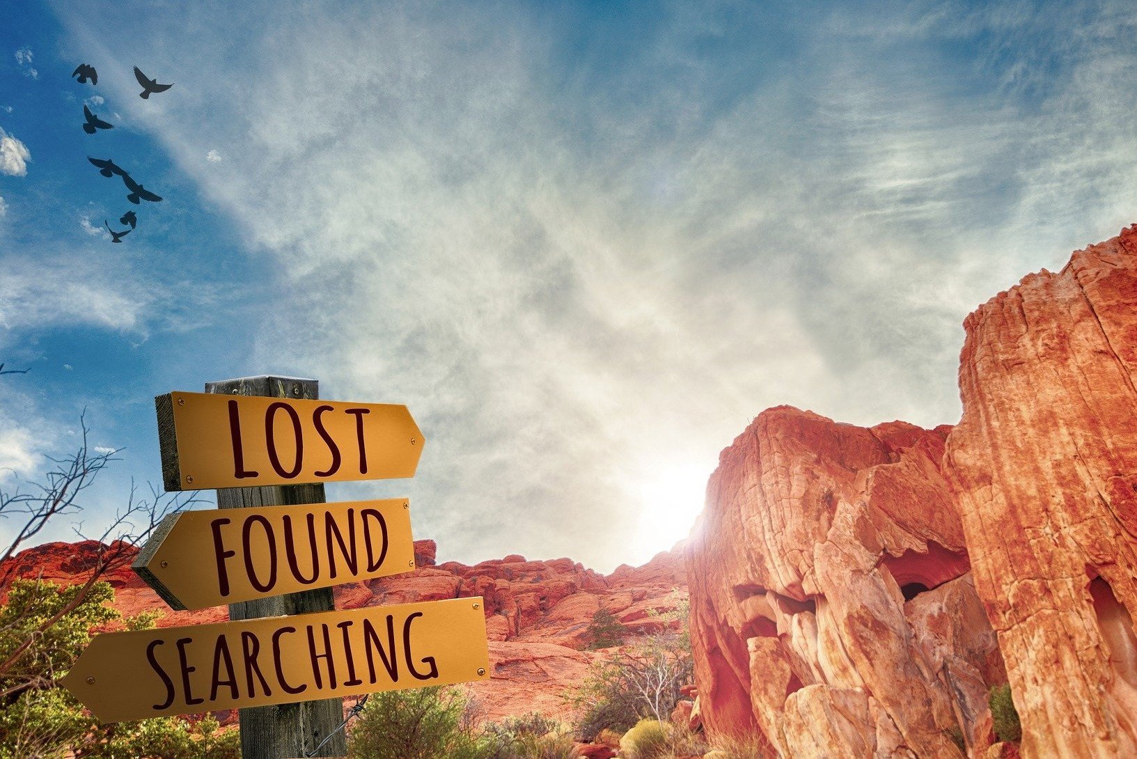 Kann ich als transformativer Coach direktiv sein?