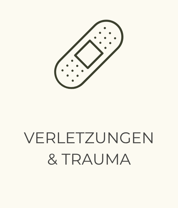 Traumatherapie und traumsensible Arbeit mit Nicole Baumgartner GEDANKENGUT Frauenfeld