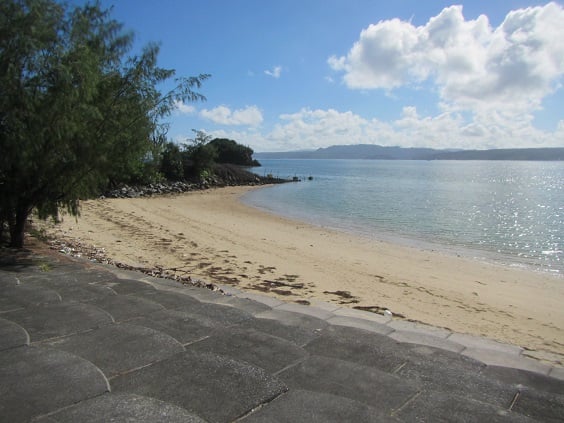 石段の上から見ると、一見きれいに見えますが..