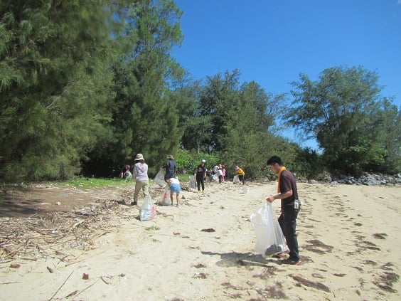 木陰や茂みにたくさんのごみが！