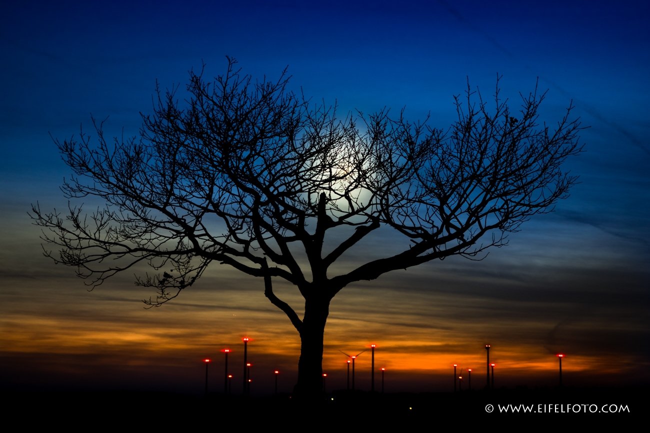 Abends am Bürgerwindpark Schleiden-Dreiborn