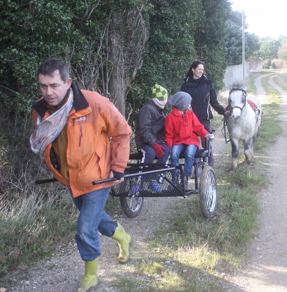 Tinus en débourrage attelage qui dresse qui?
