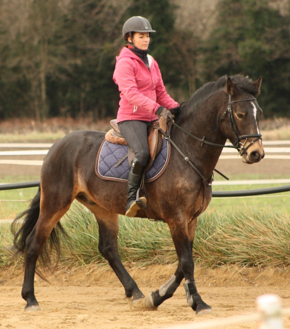 11 janvier 1 er concours de baltic