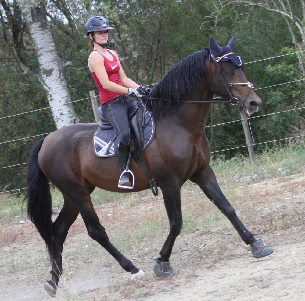 Laetitia et Oriental