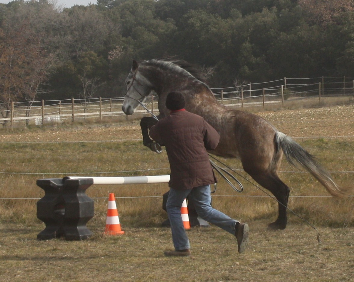 Sierra 1 ère séance de saut