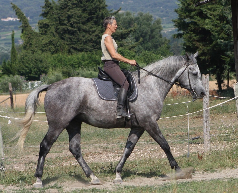 juillet Carmen et Bloody