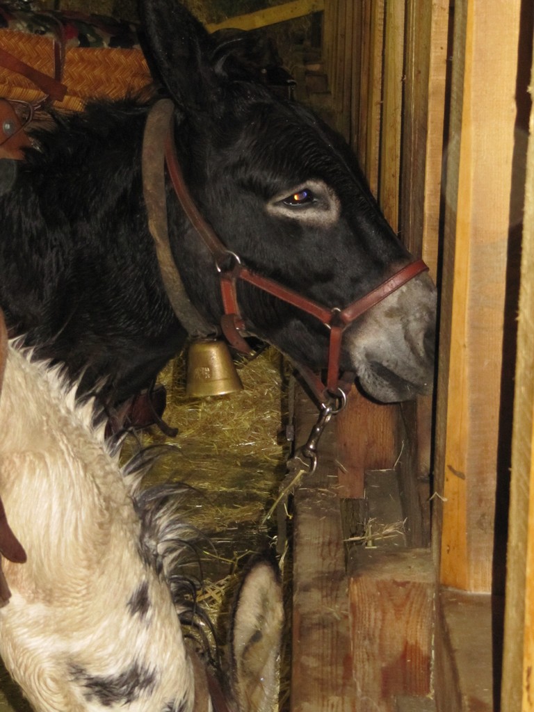 Endlich "am Schärm"