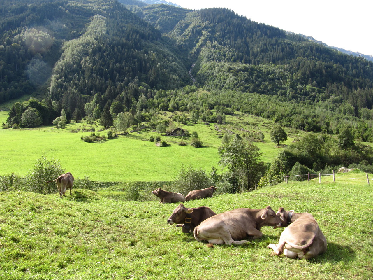 Begehung der Siegerfläche Fiirschlacht